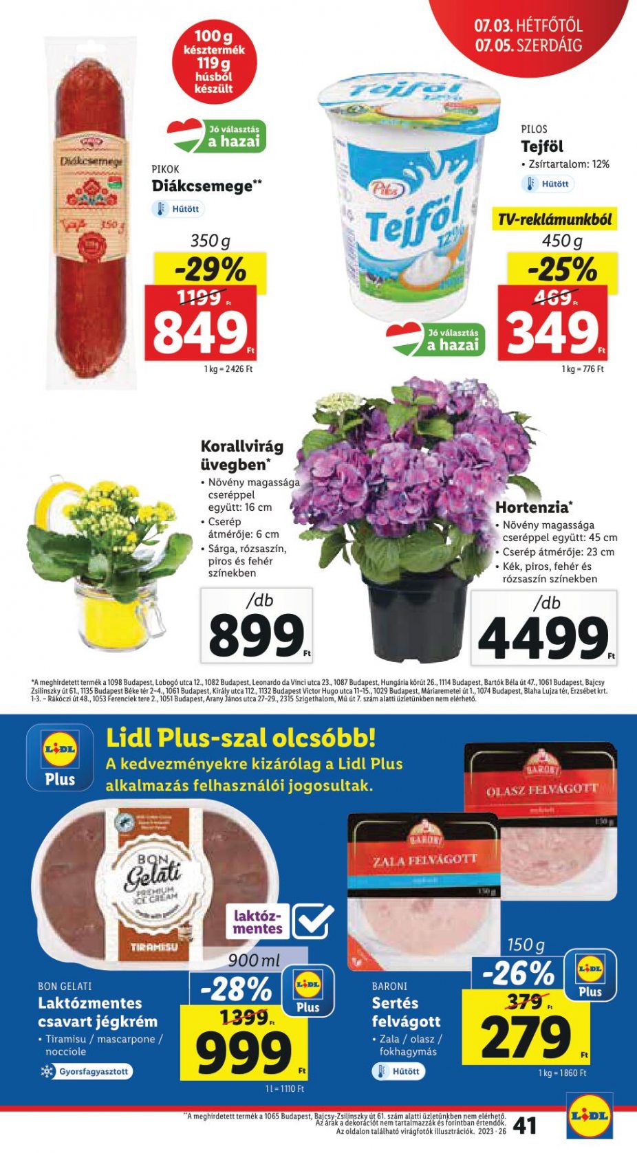 lidl2905-41