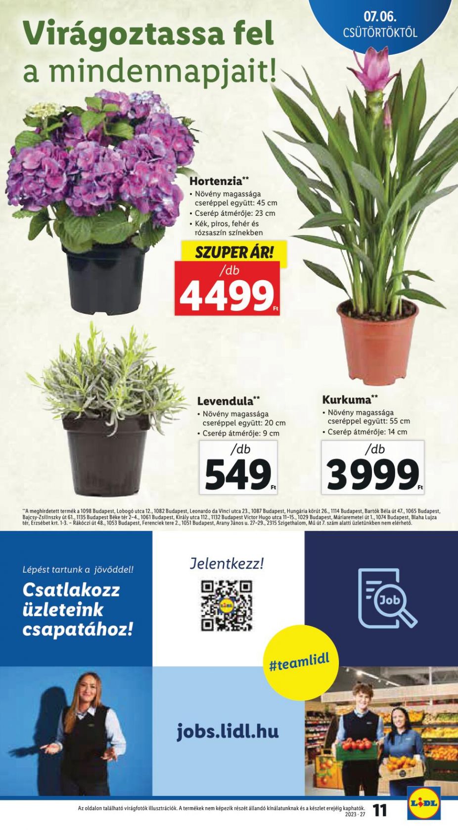 lidl0705-12-11