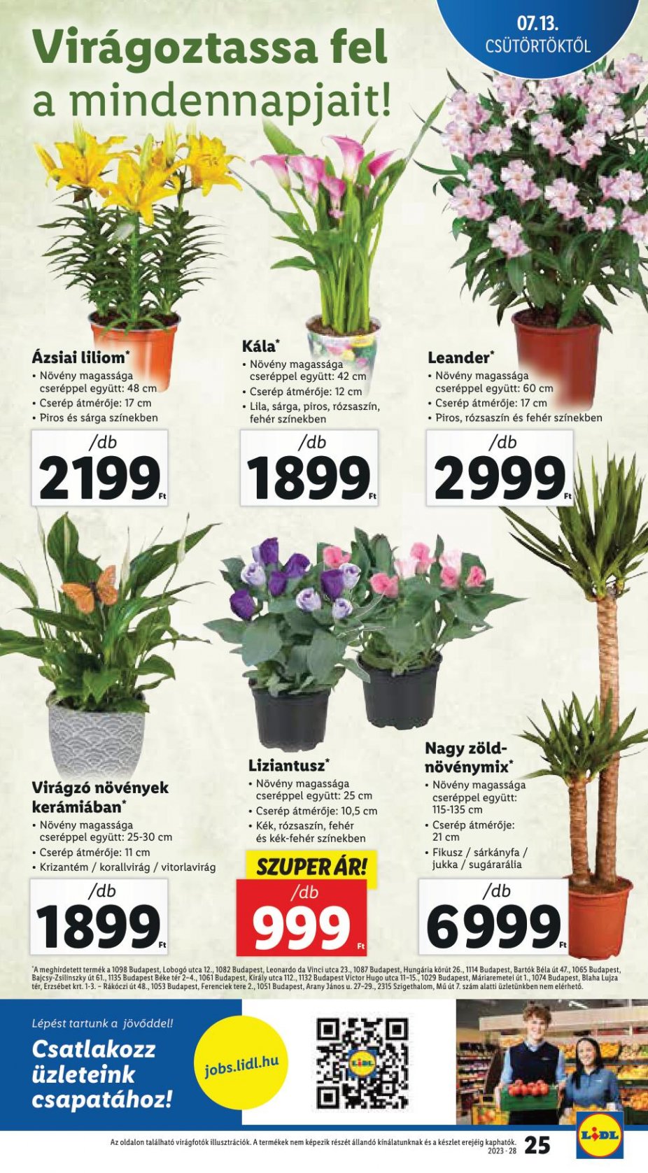 lidl1319-25