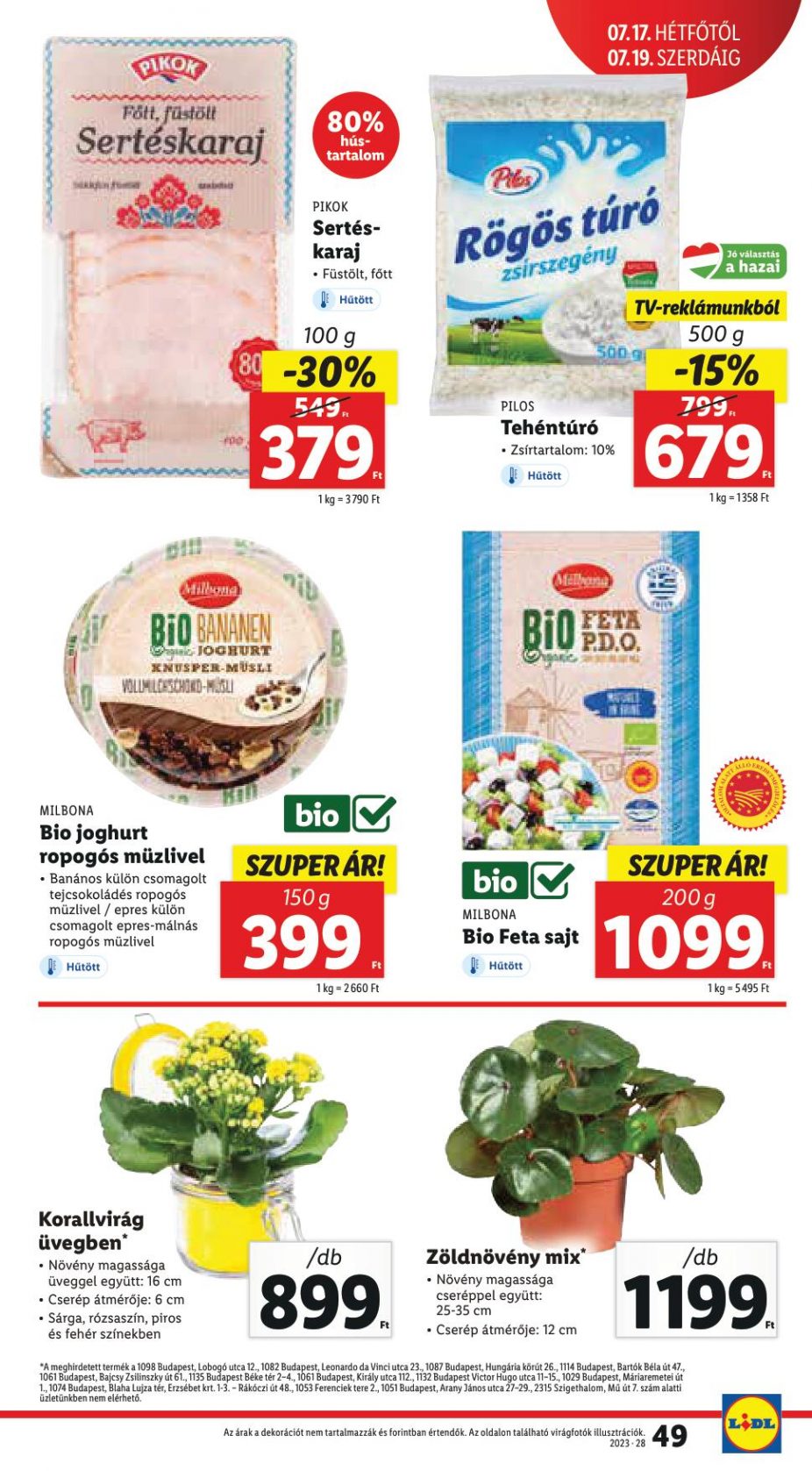 lidl1319-49