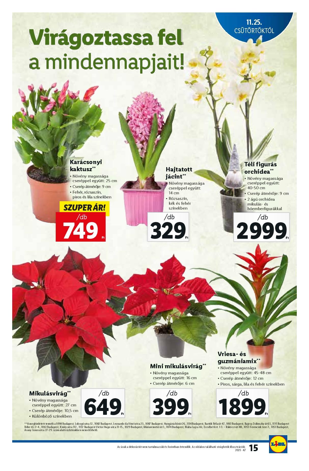 lidl1125-page-015