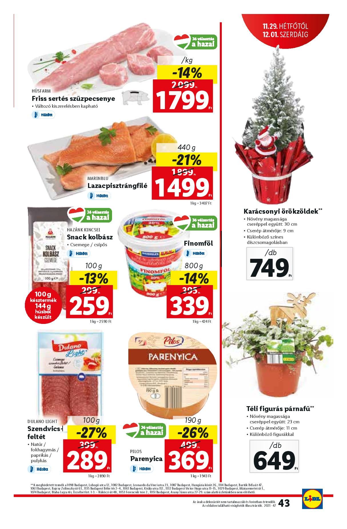 lidl1125-page-043