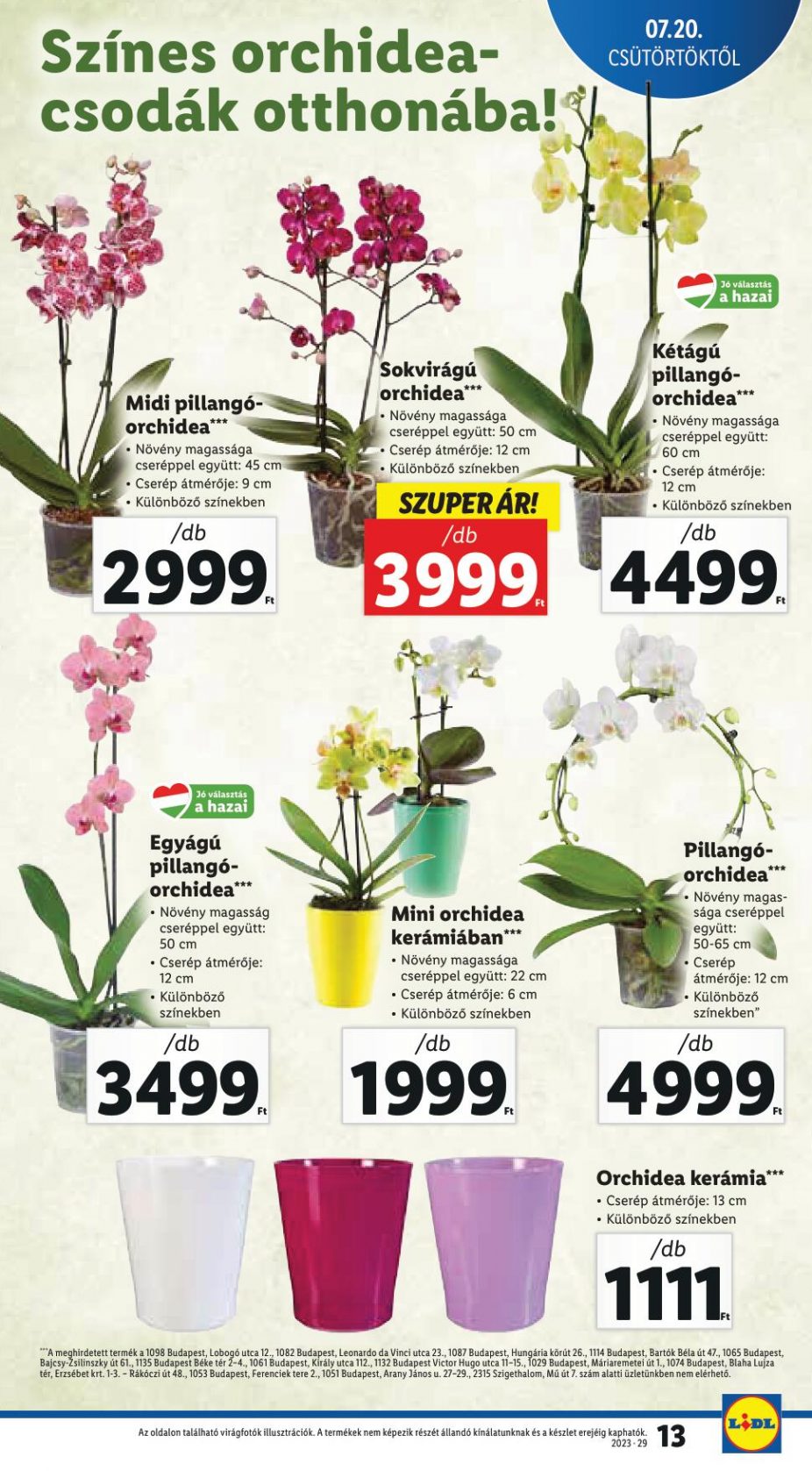 lidl2026-13