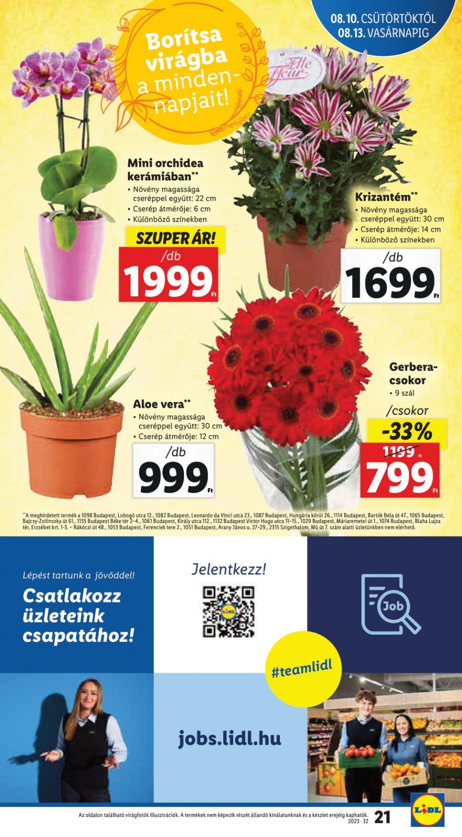 lidl1016-21