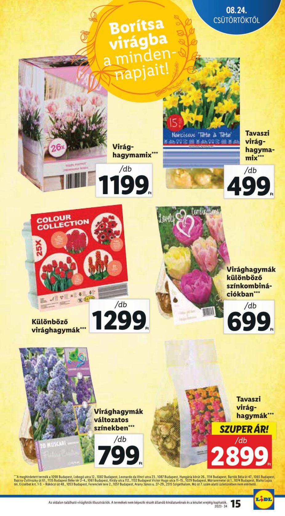 lidlaug2430-15