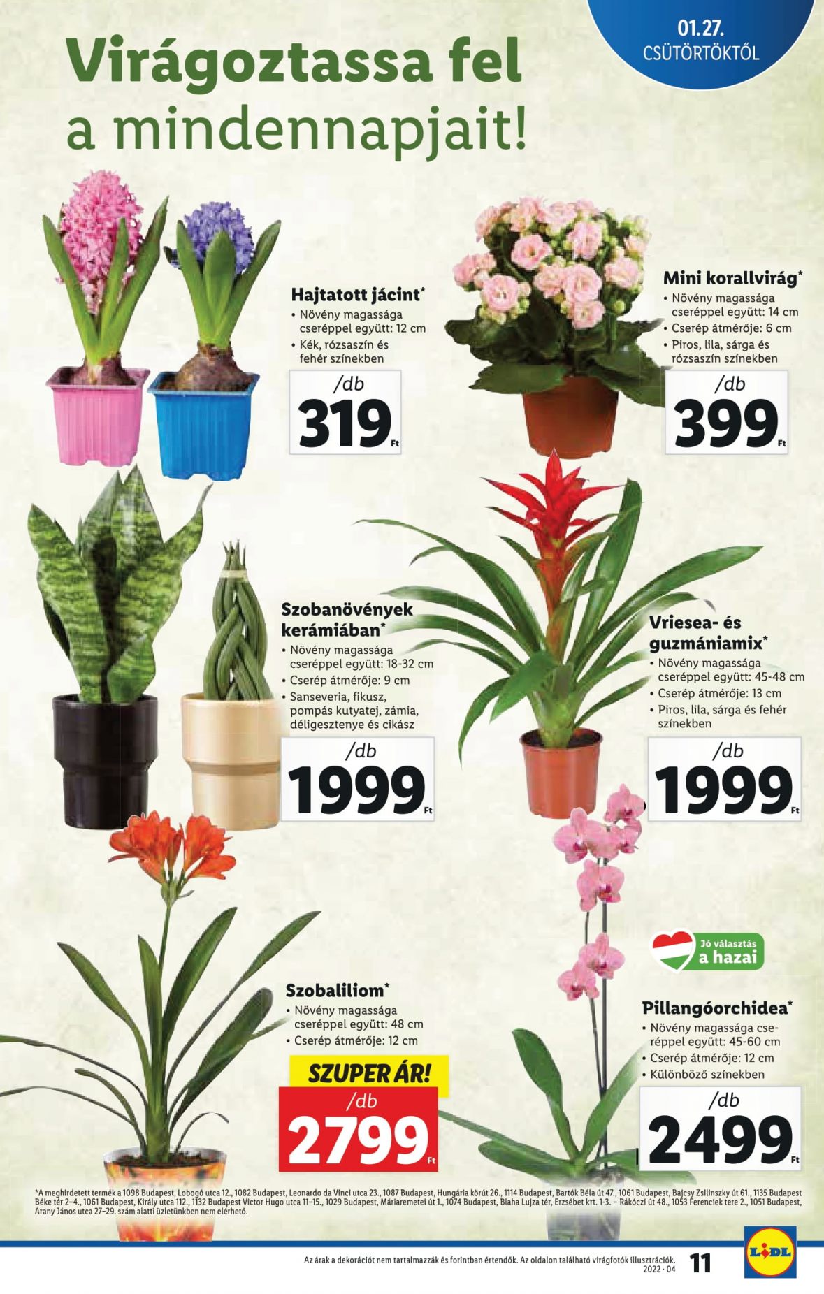 lidl02-11