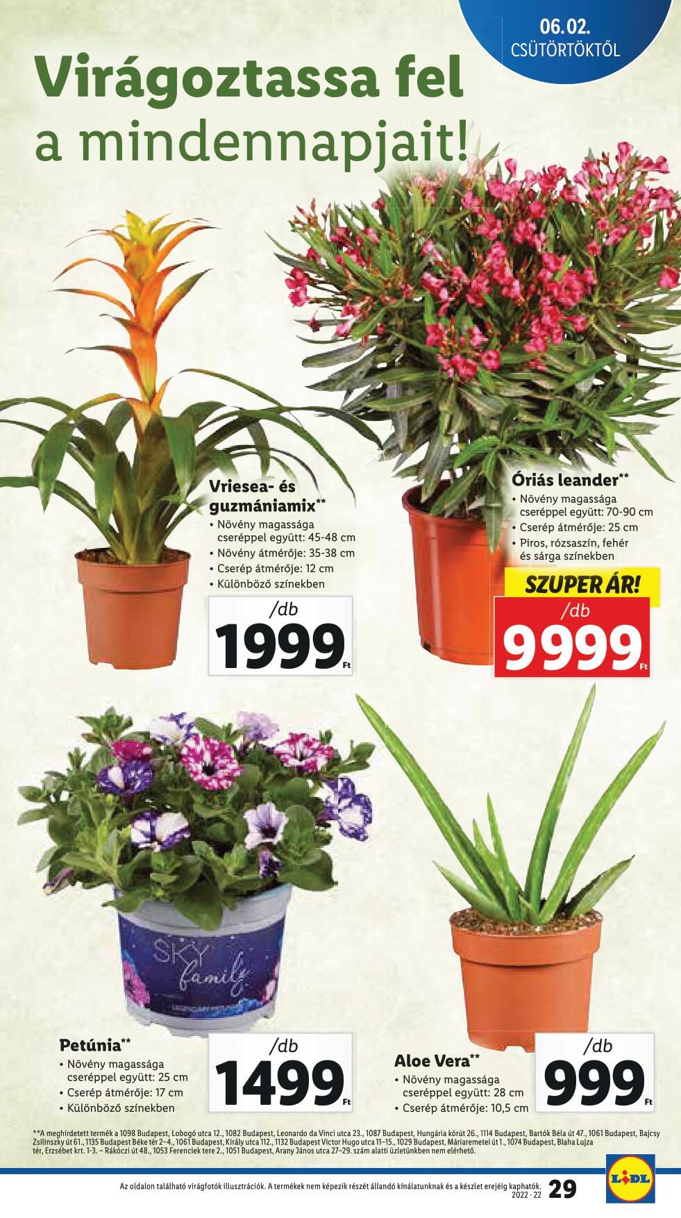 lidl06020608-29