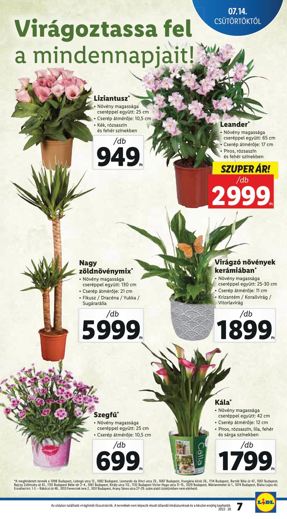 lidl0714-20-7