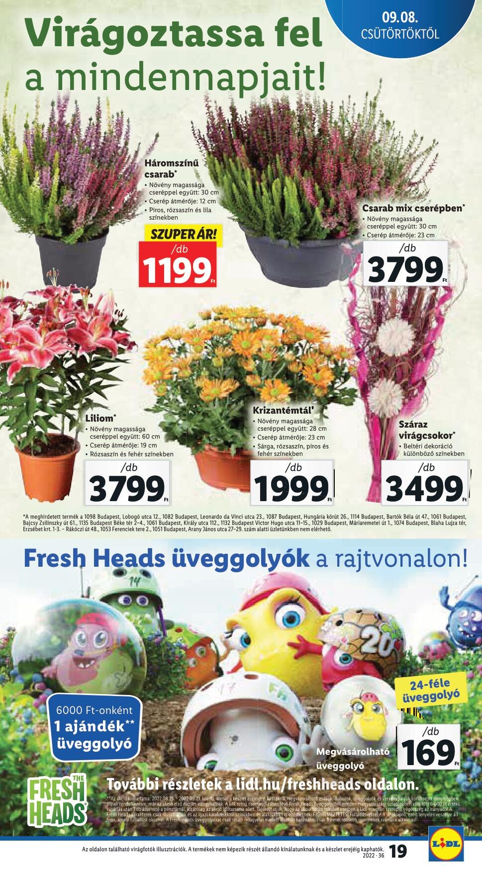 lidlszept08-14-19