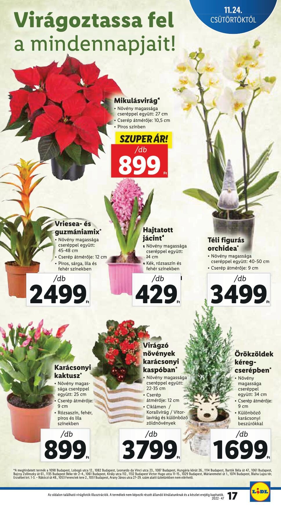 lidl2430-17