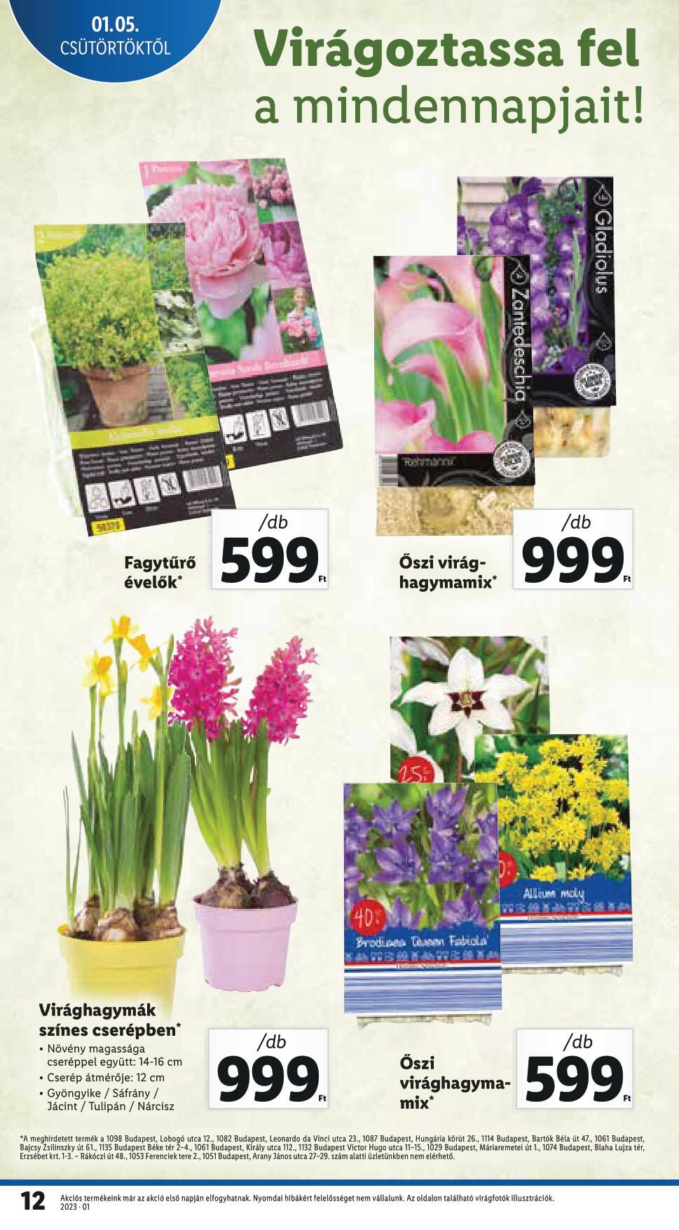 lidl0105-12