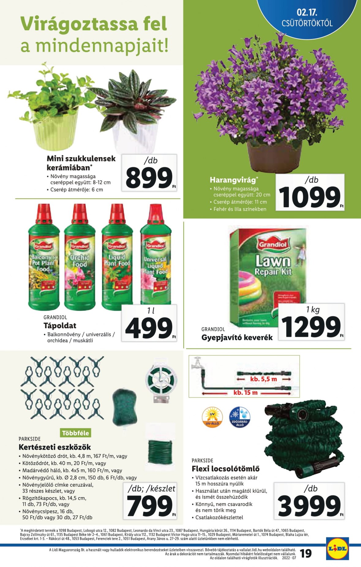 lidi02170223-19