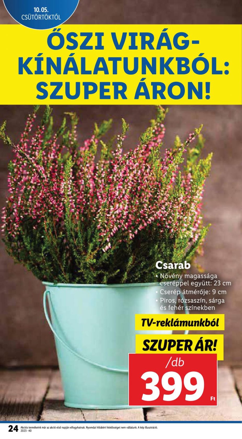 lidl105-11-24