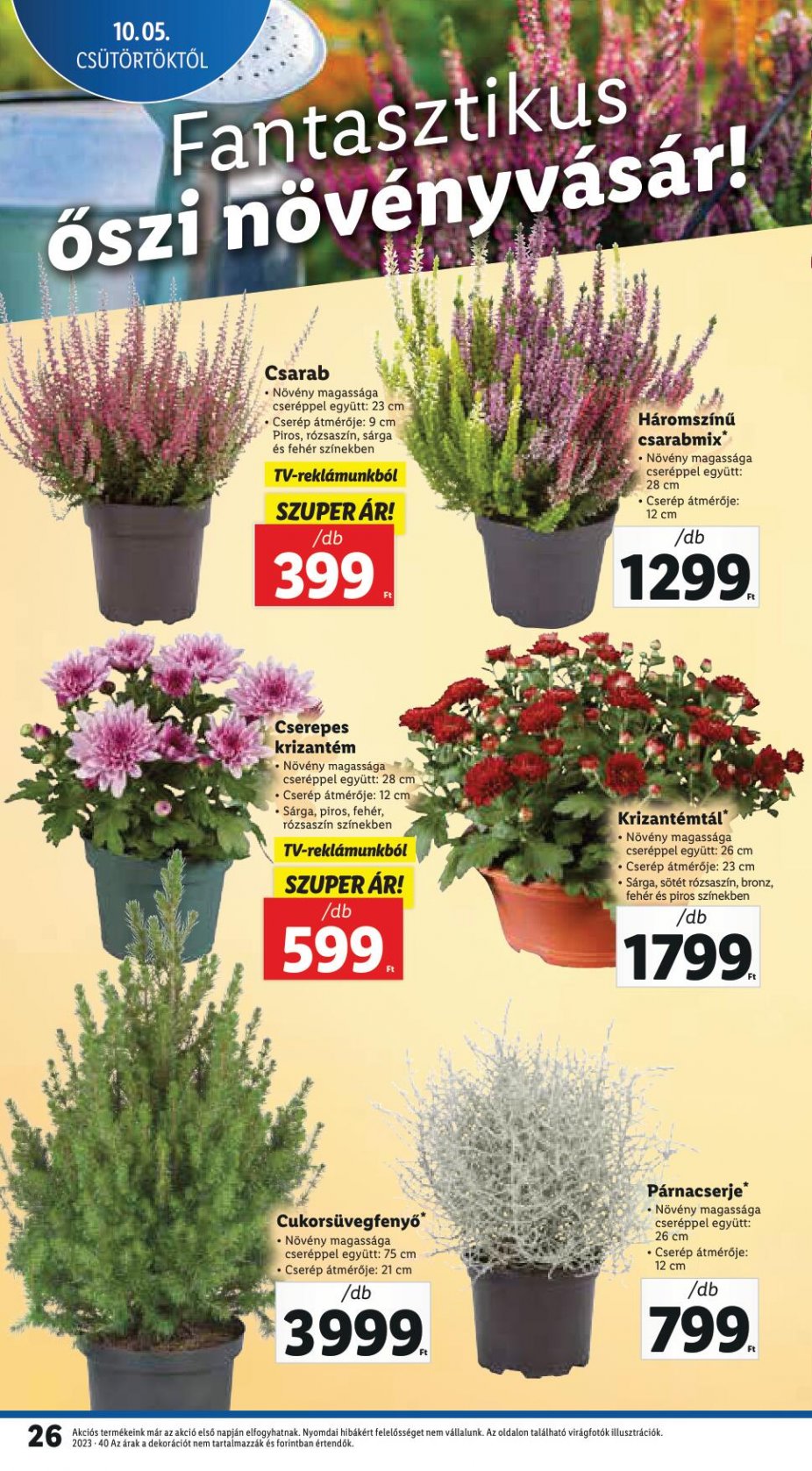lidl105-11-26