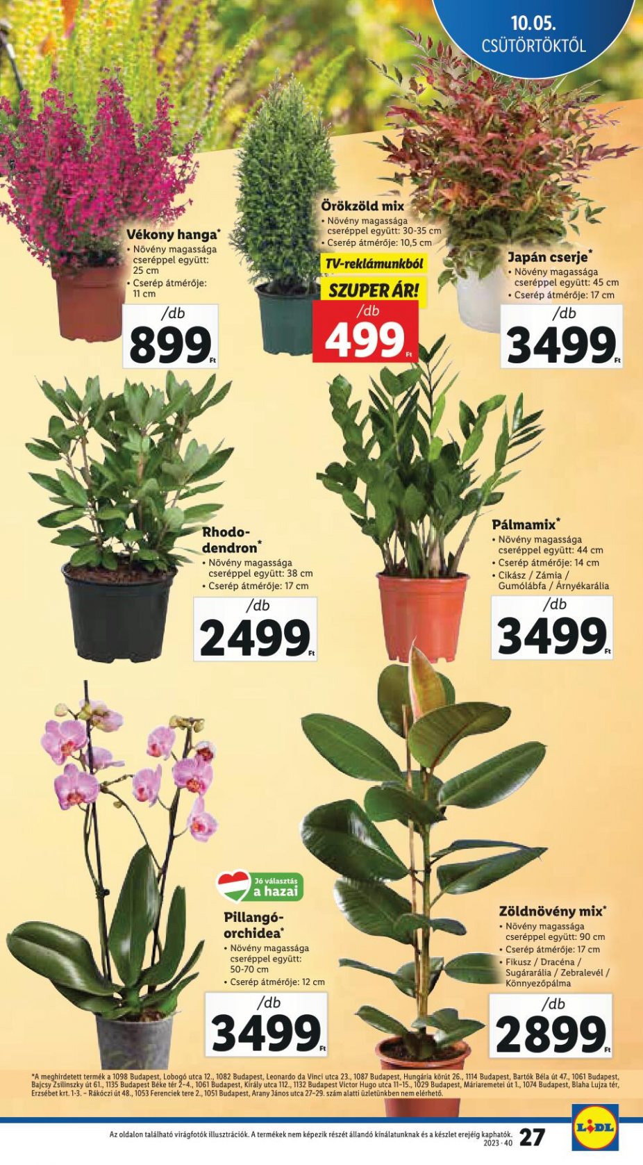 lidl105-11-27