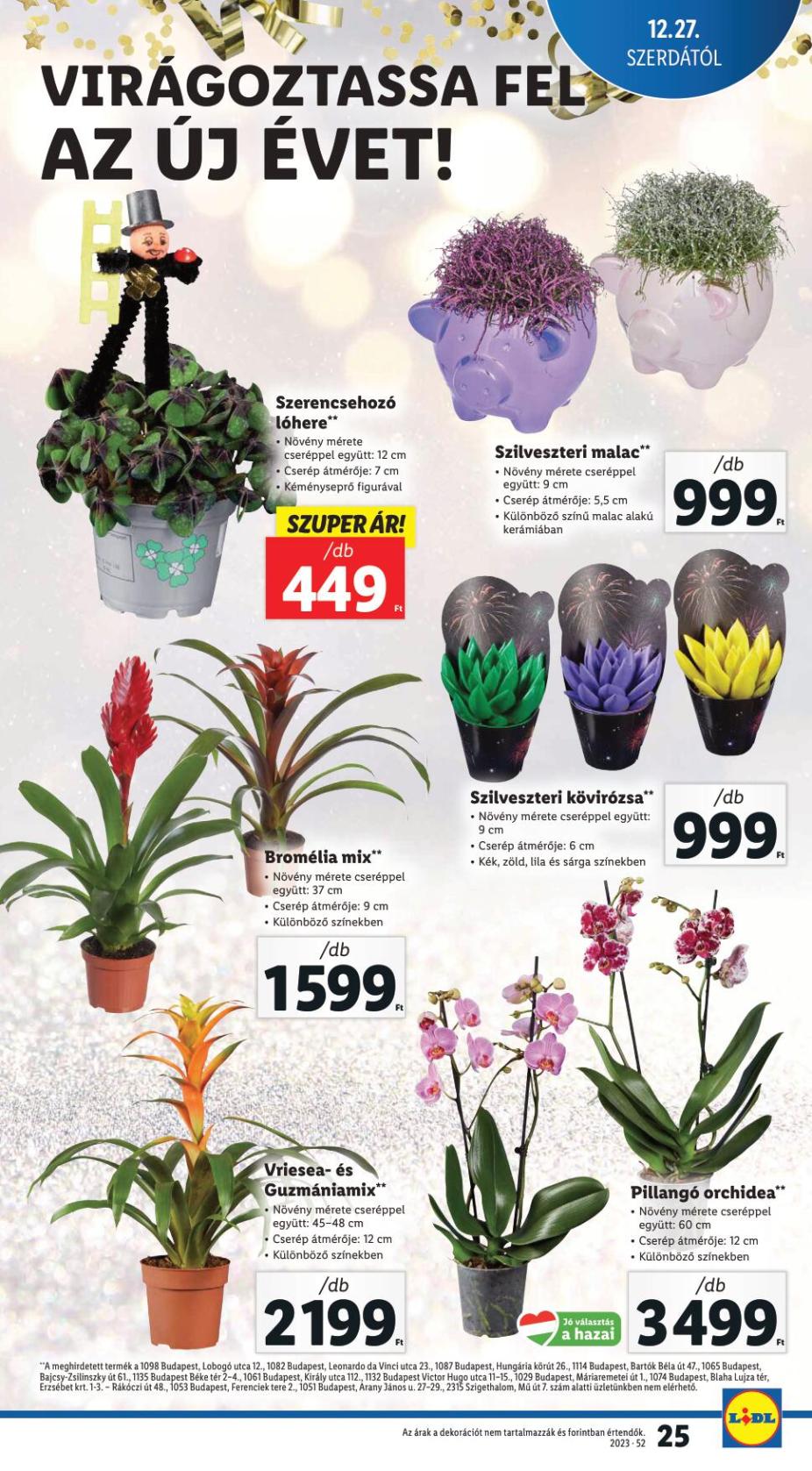 lidl2703-25