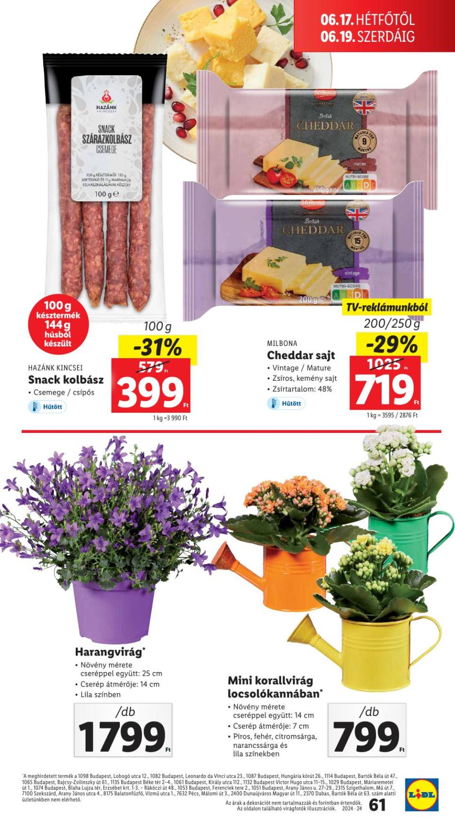 lidl24-61