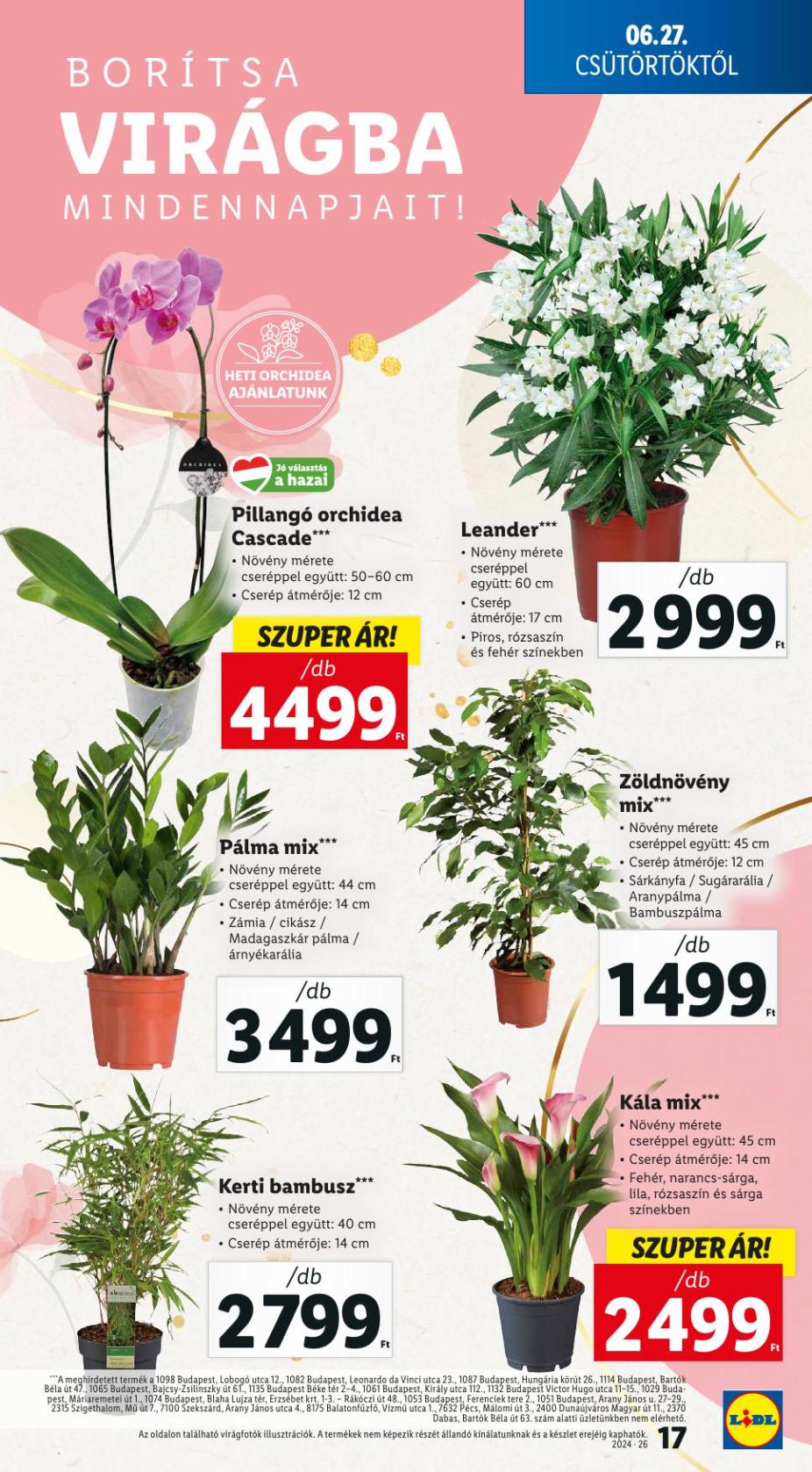 lidl26-17