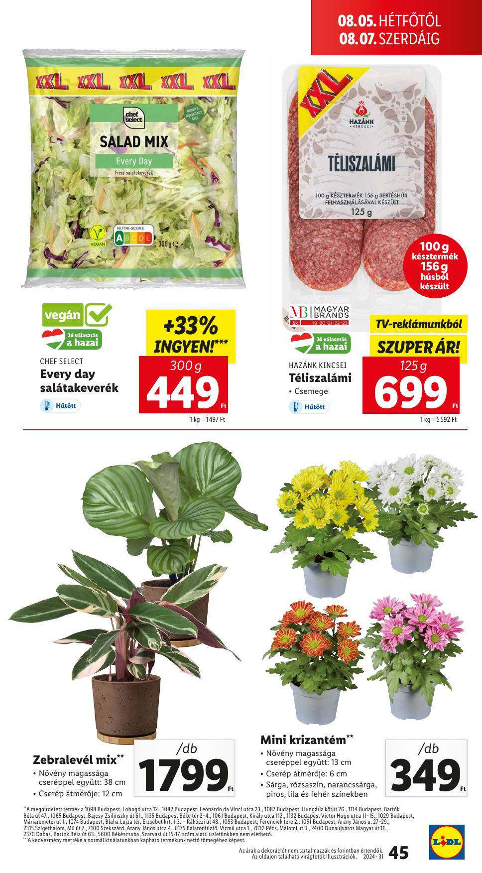 lidl31-45