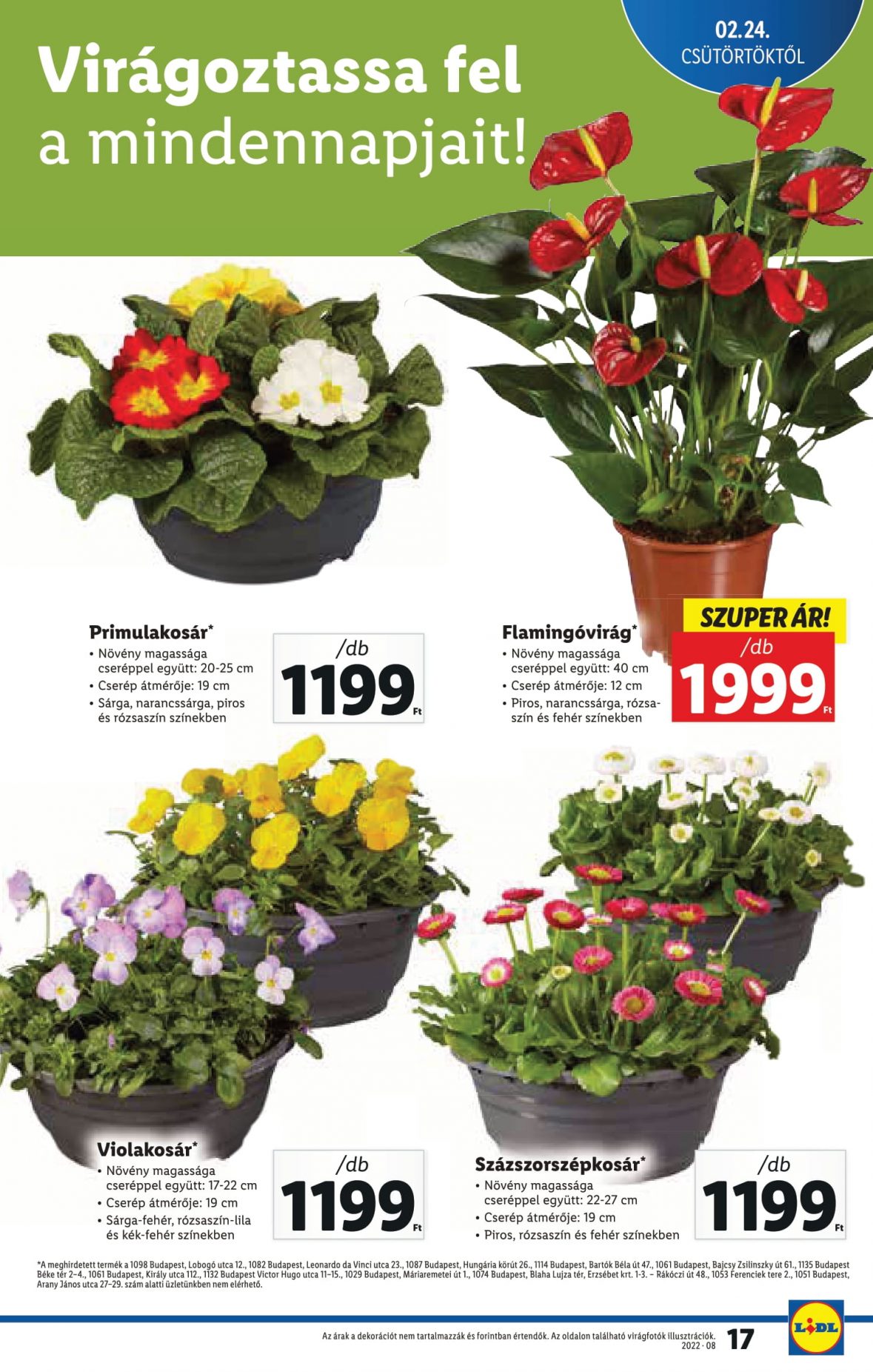 lidli0224-03-02-17