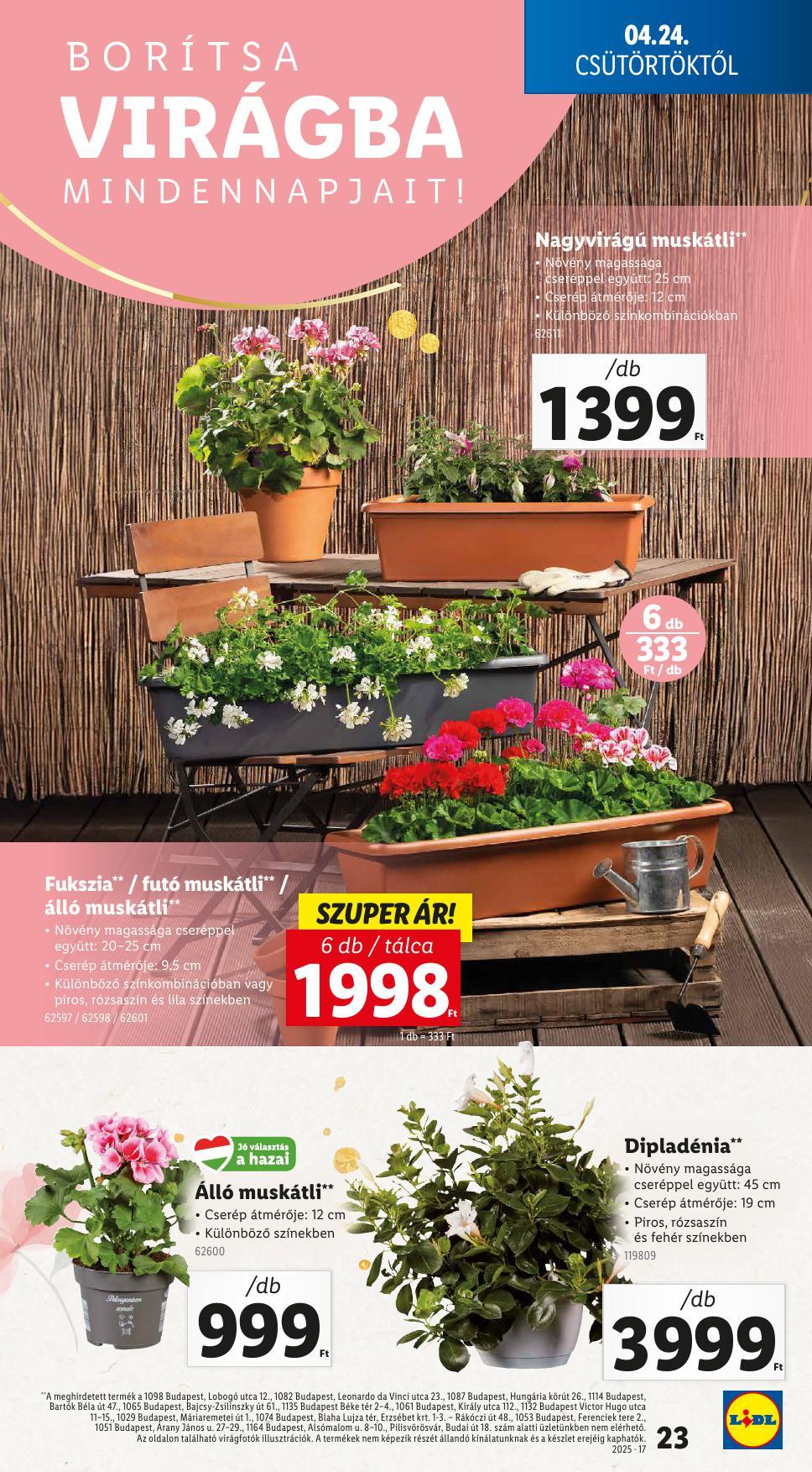lidl0424-23