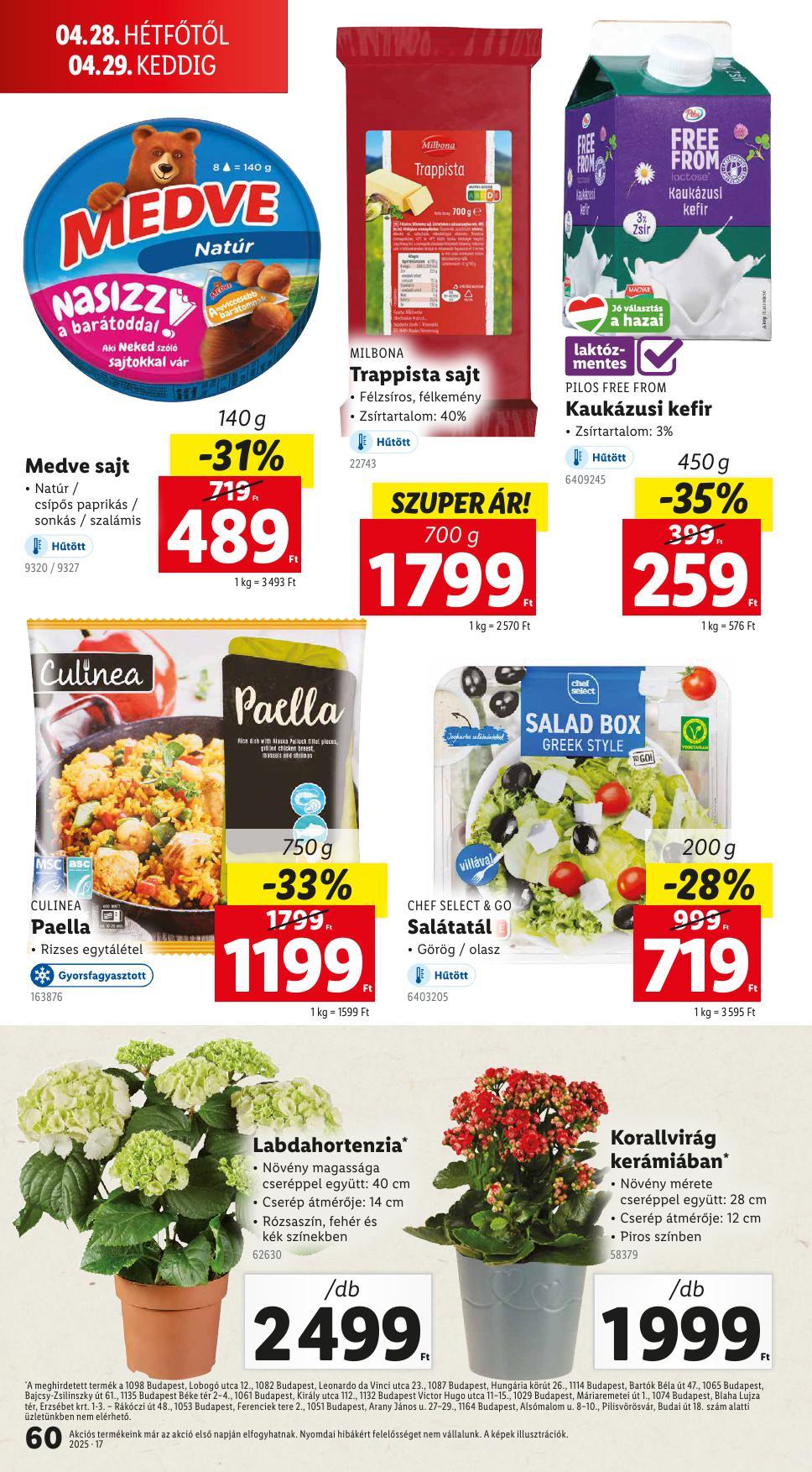 lidl0424-60