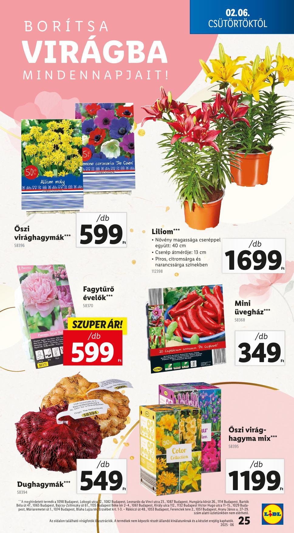 lidlfebr-25