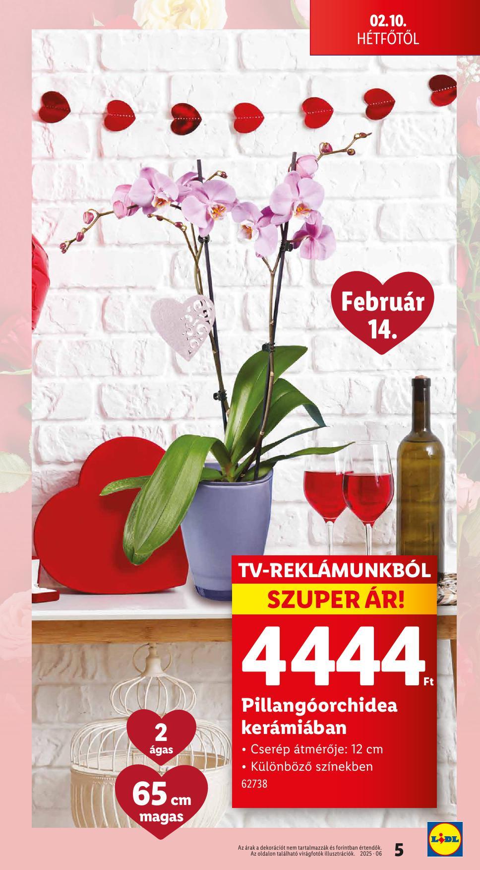 lidlfebr-5