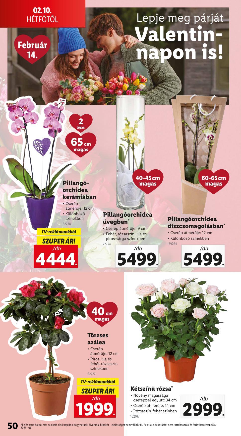 lidlfebr-50
