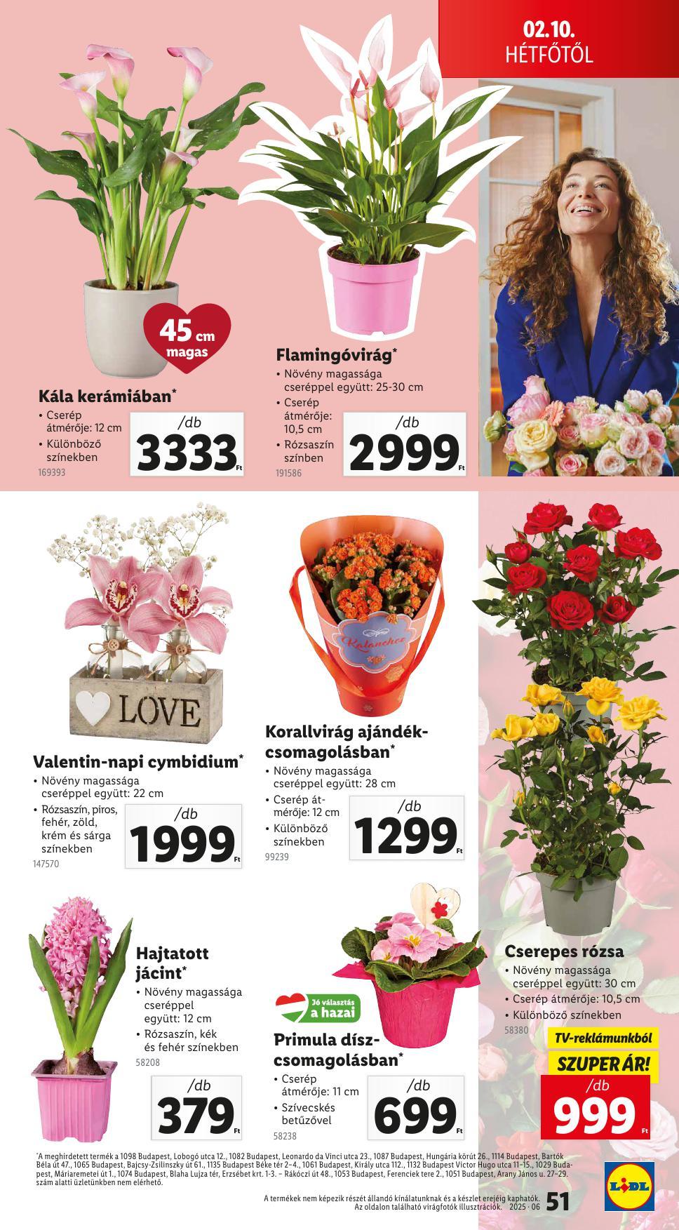 lidlfebr-51