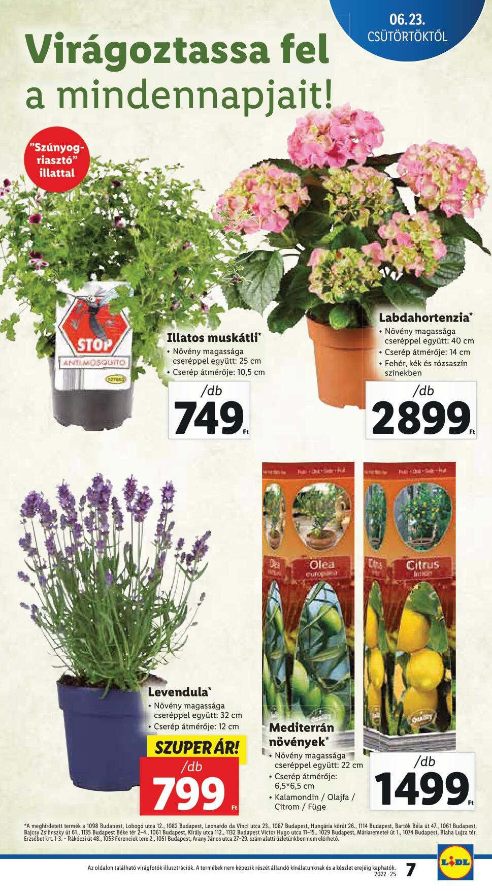 lidl0623-0629-7