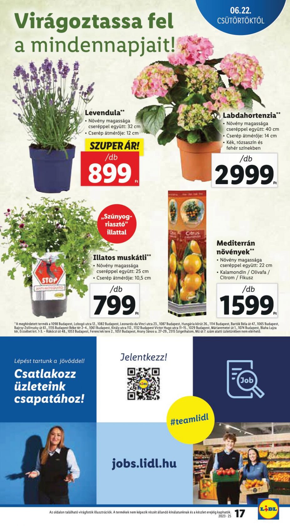 lidl062228-17