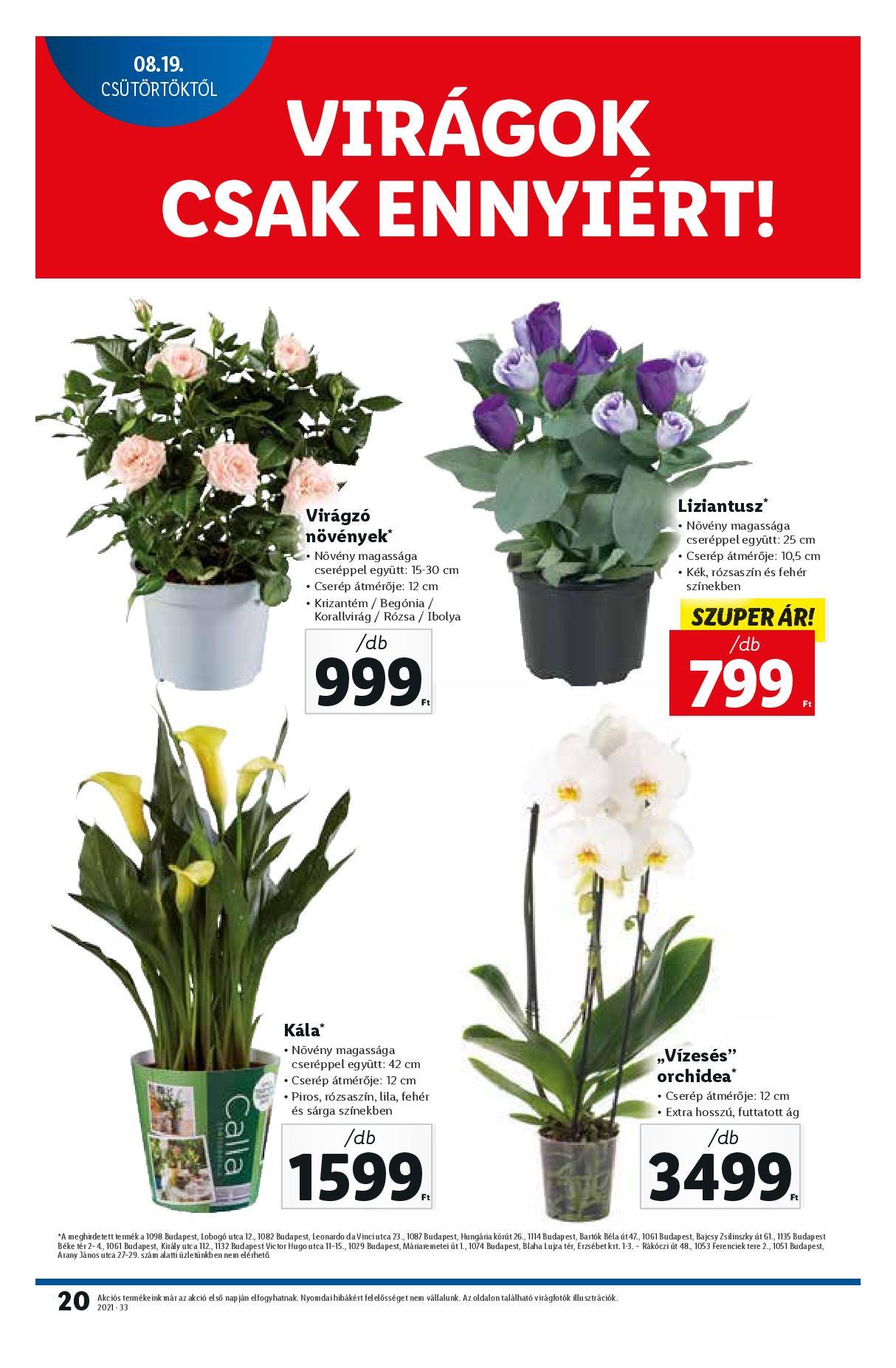 lidl0819-25-page-020