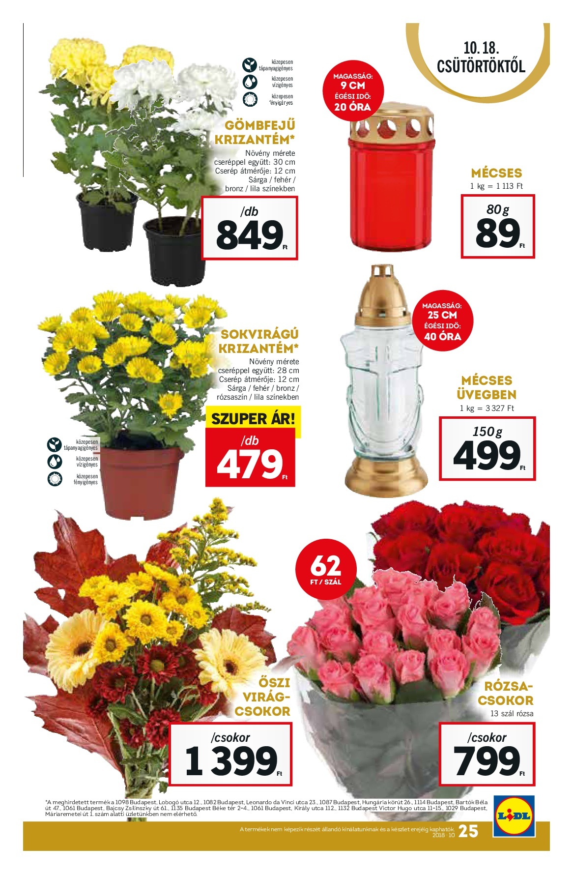 lidl-10-18-tol-025