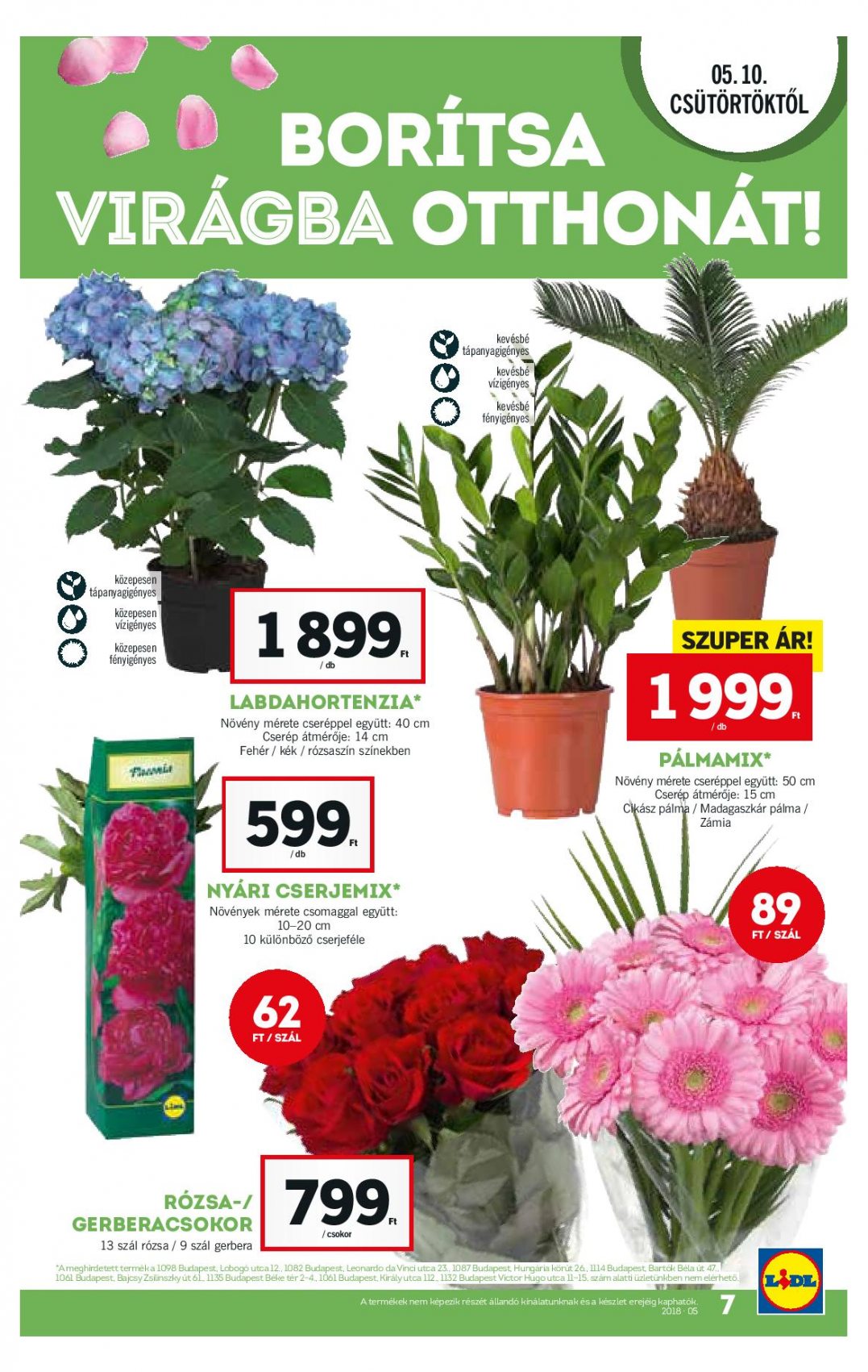 Lidl_Akciosujsag_2018_19het_72dpi-page-007