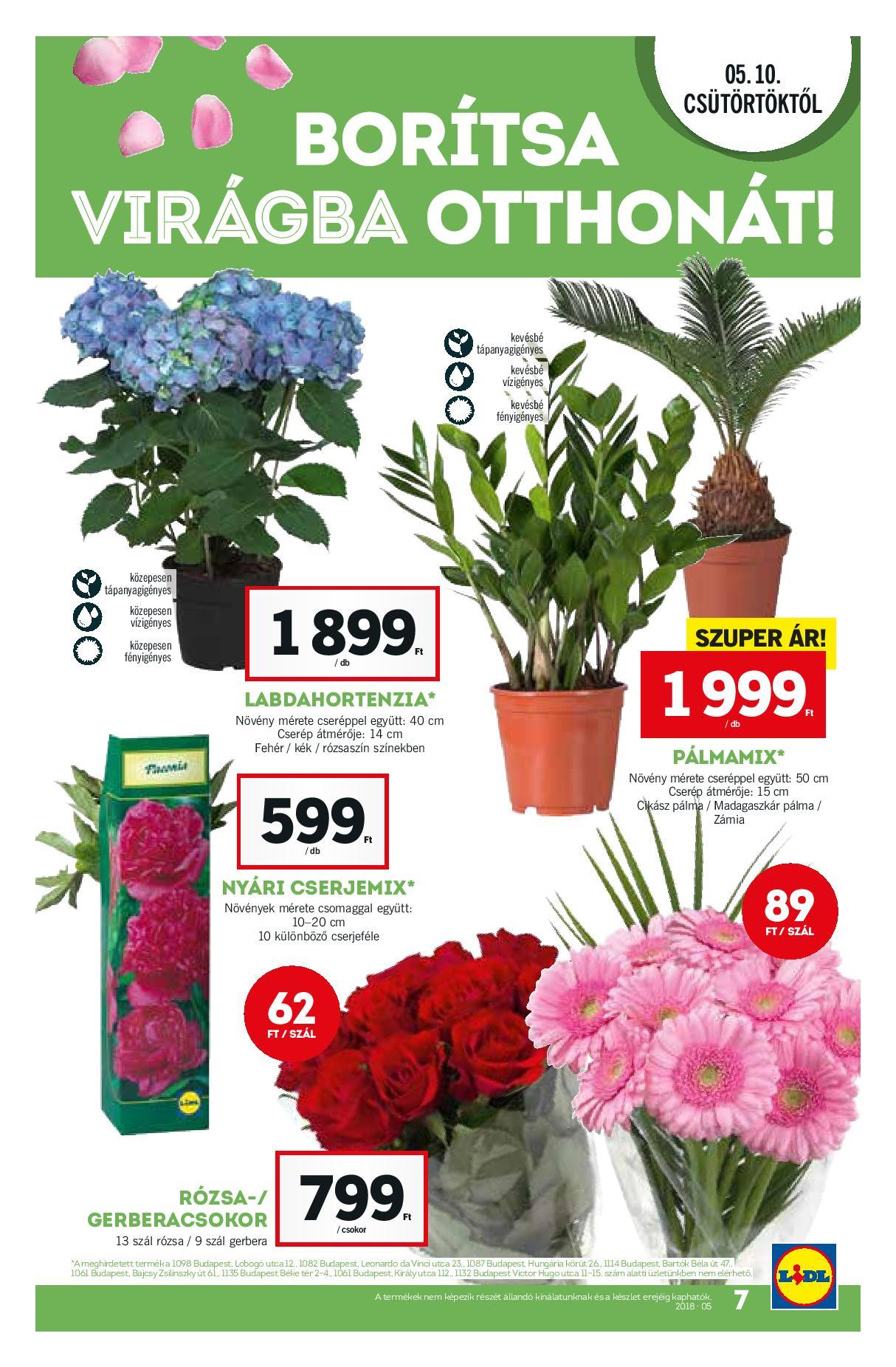 Lidl_Akciosujsag_2018_19het_72dpi-page-007