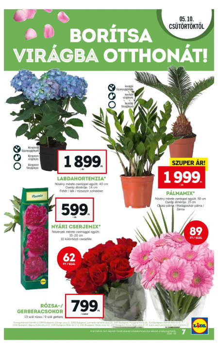 Lidl_Akciosujsag_2018_19het_72dpi-page-007