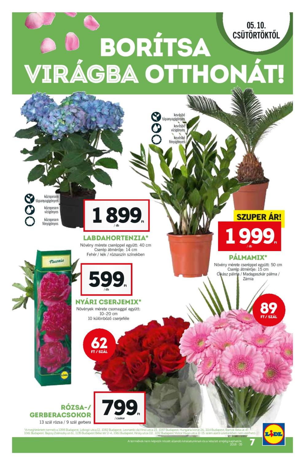 Lidl_Akciosujsag_2018_19het_72dpi-page-007
