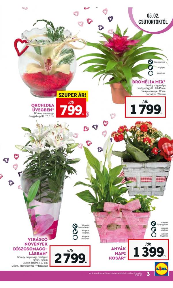 lidl-anyak-page-003