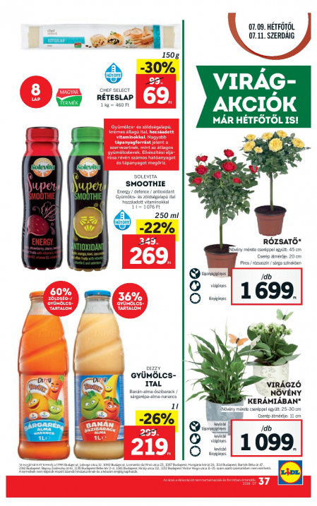 Lidl_Akciosujsag_2018_27het_72dpi-page-037