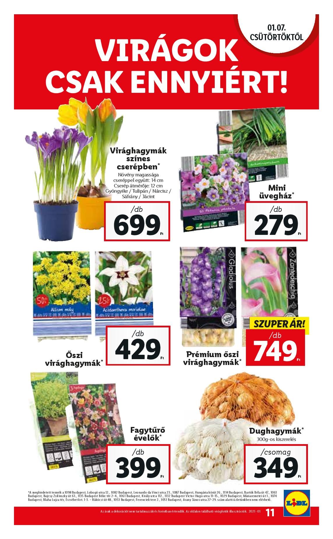 lidl0107-page-011