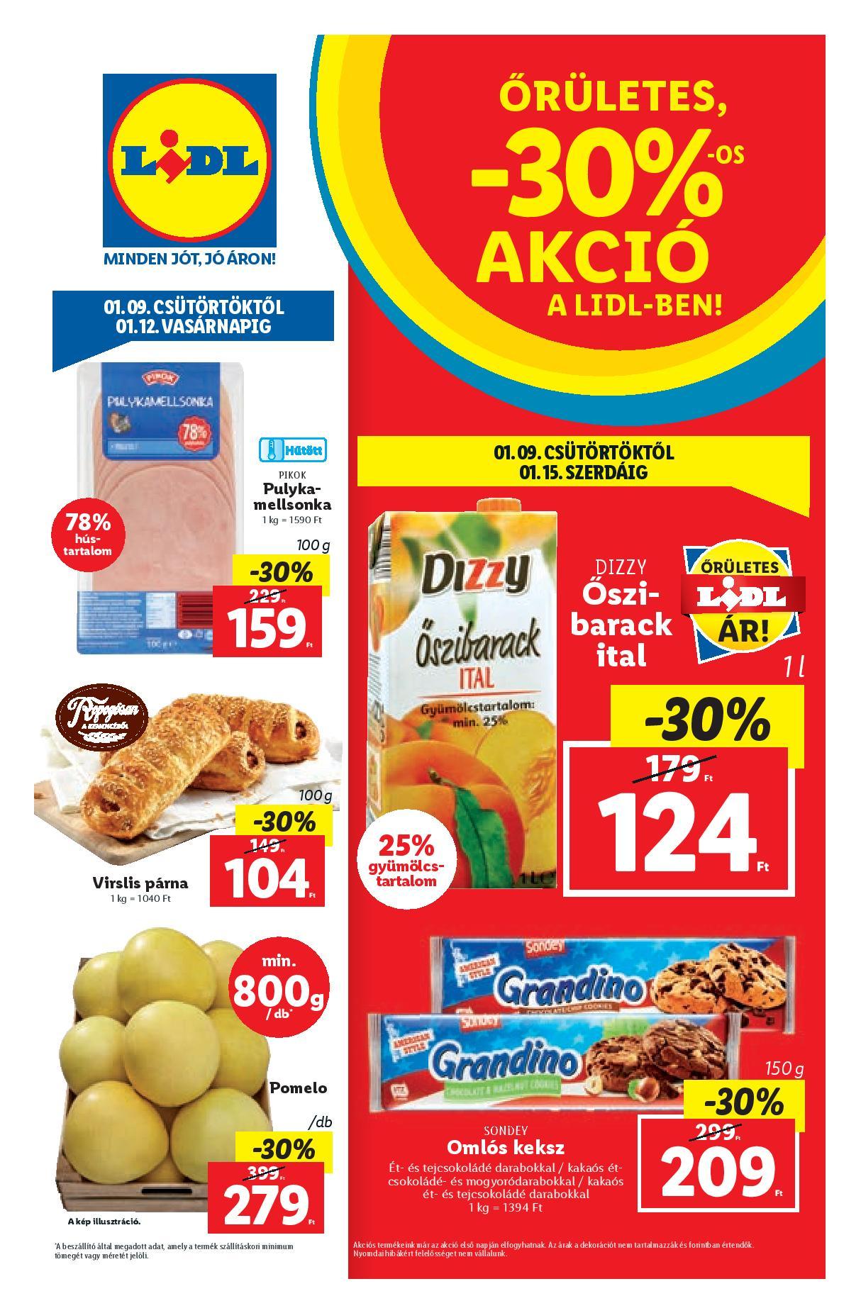 lidl0109-page-001