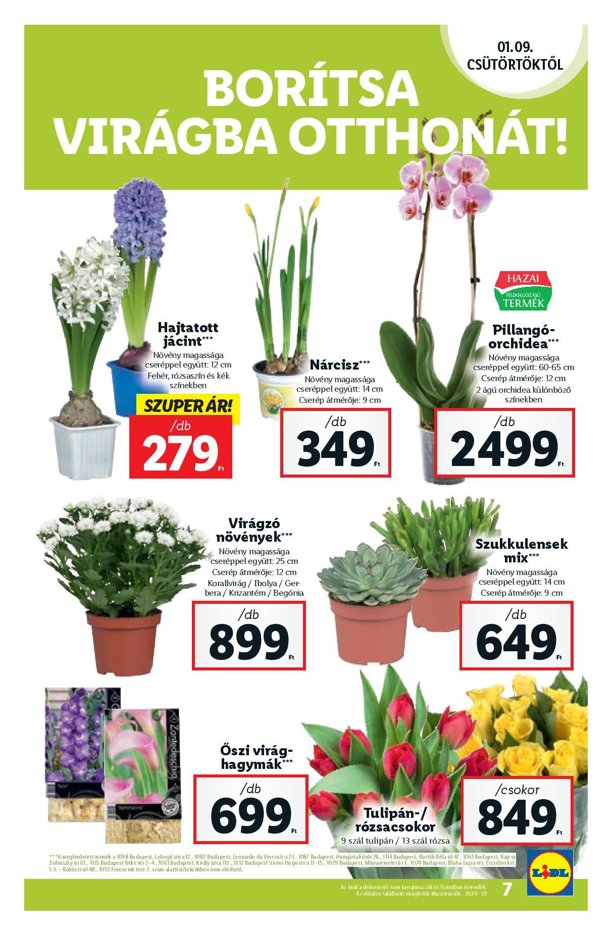 lidl0109-page-007