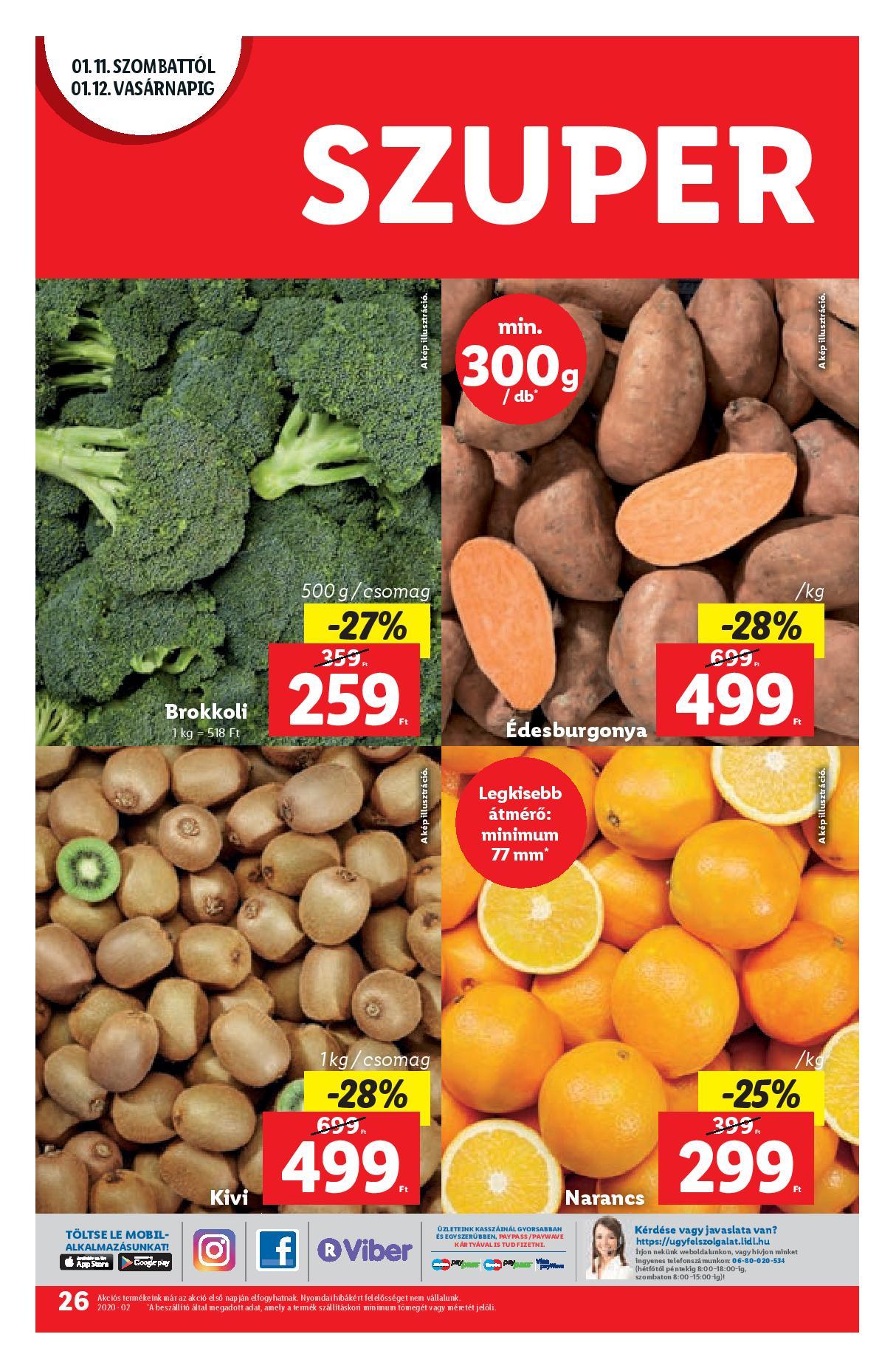 lidl0109-page-026