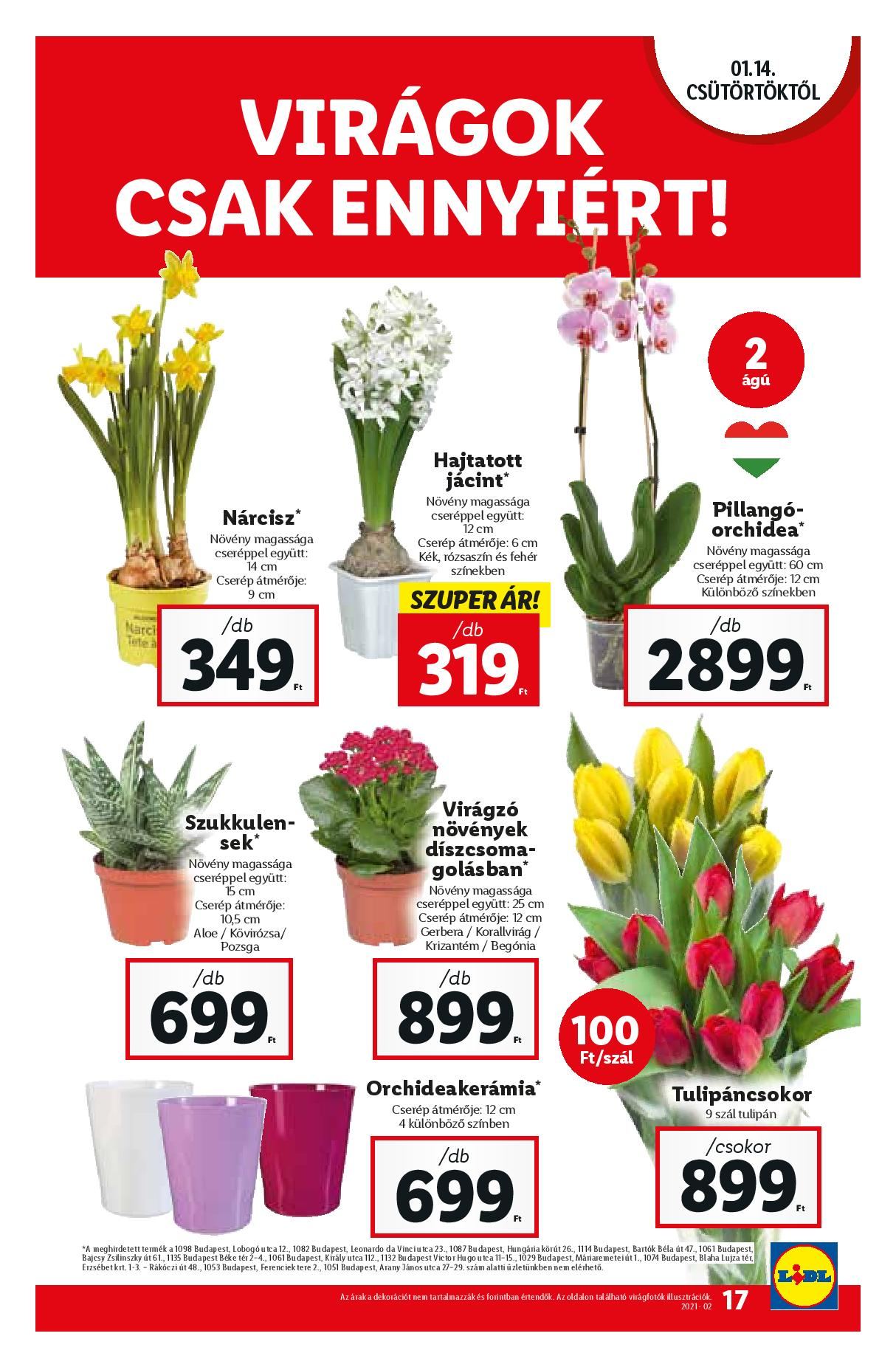 lidl0114-page-017