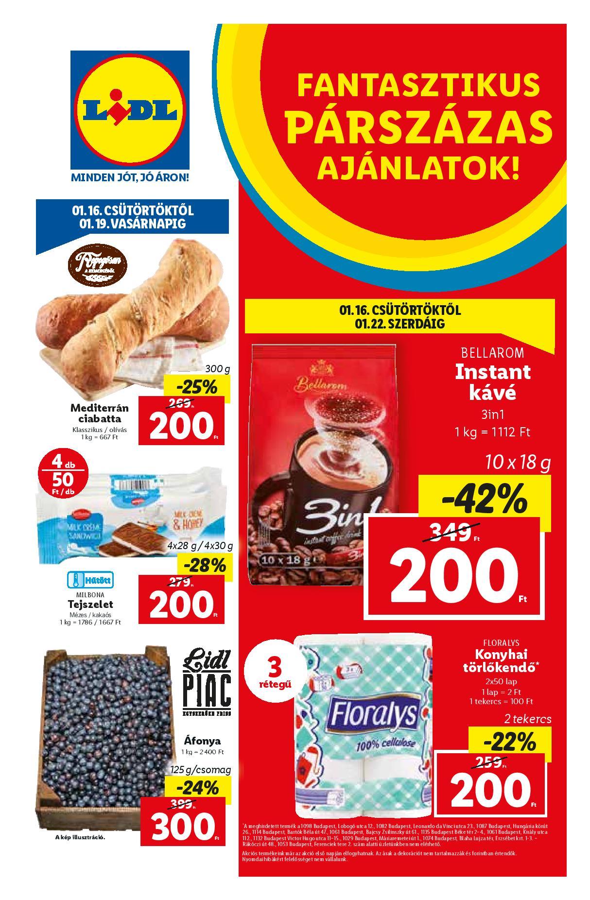 lidl0116-page-001