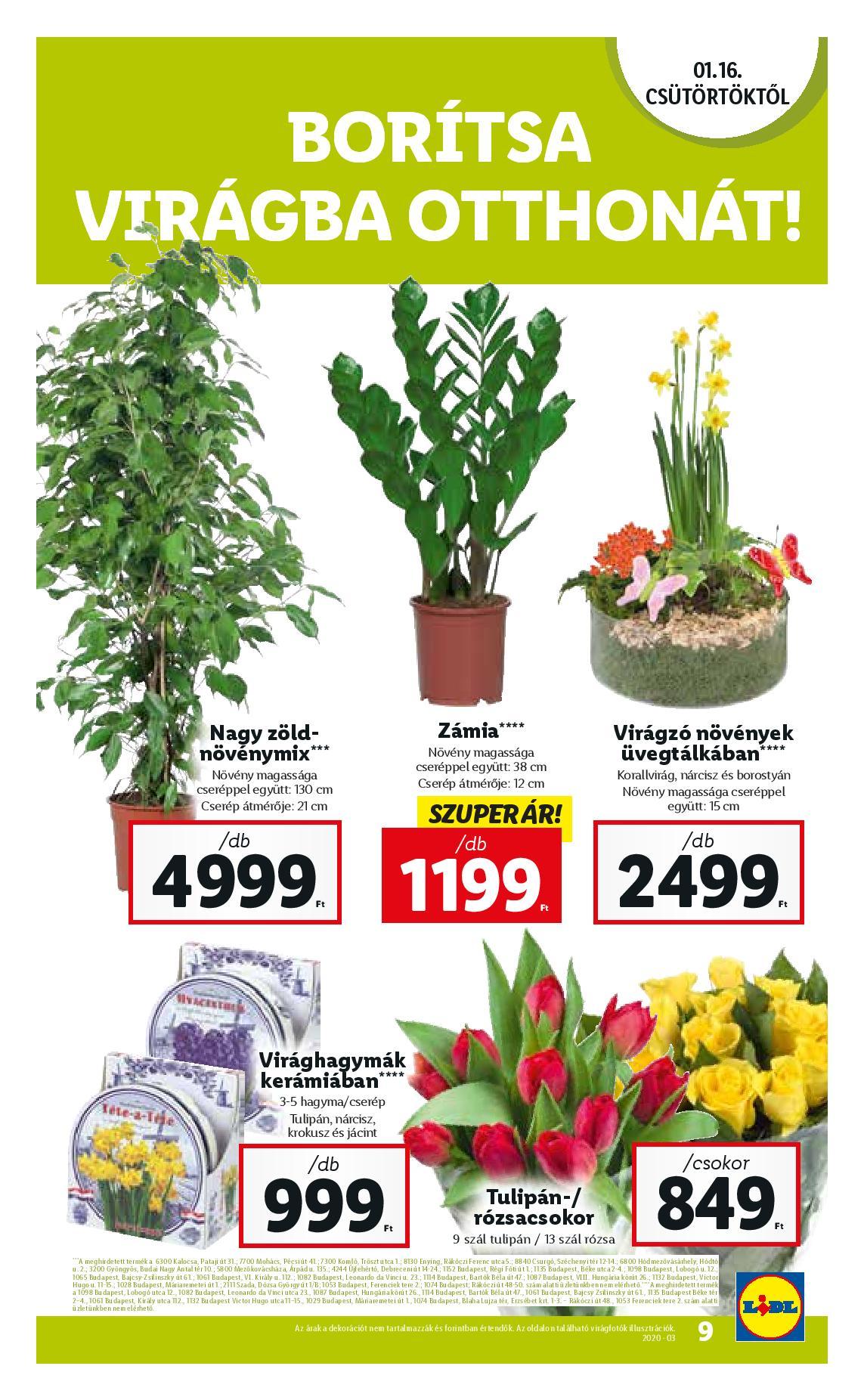 lidl0116-page-009