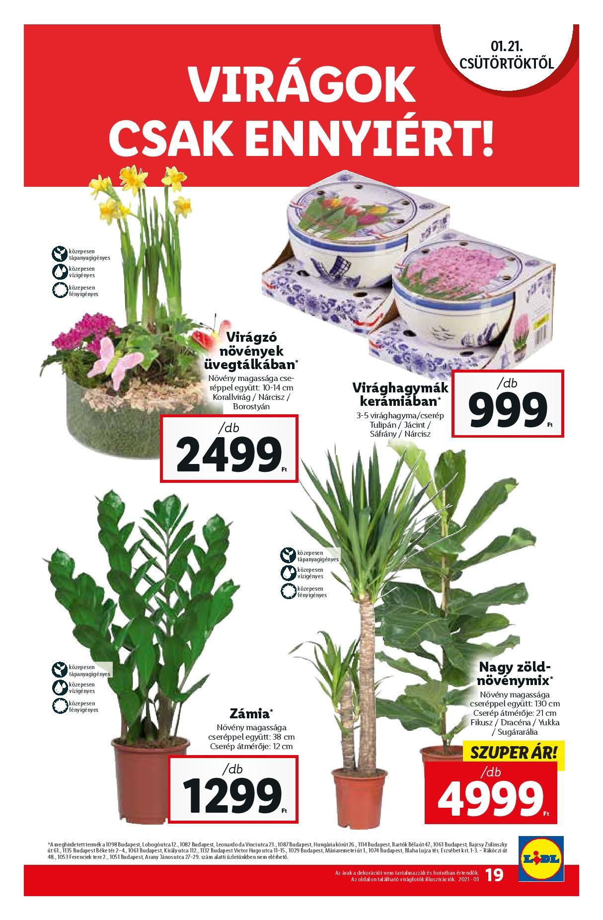 lidl0121-page-019