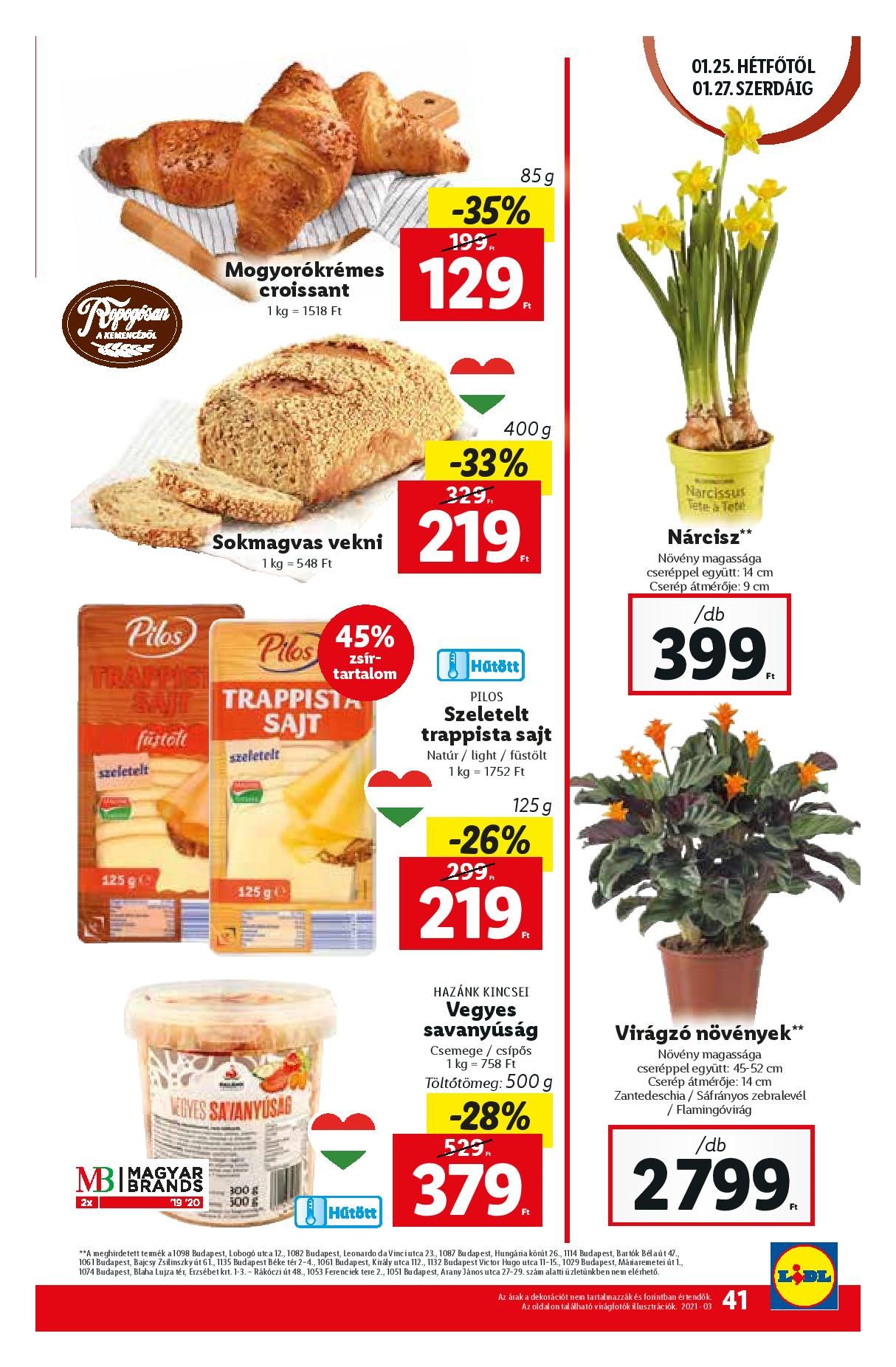 lidl0121-page-041