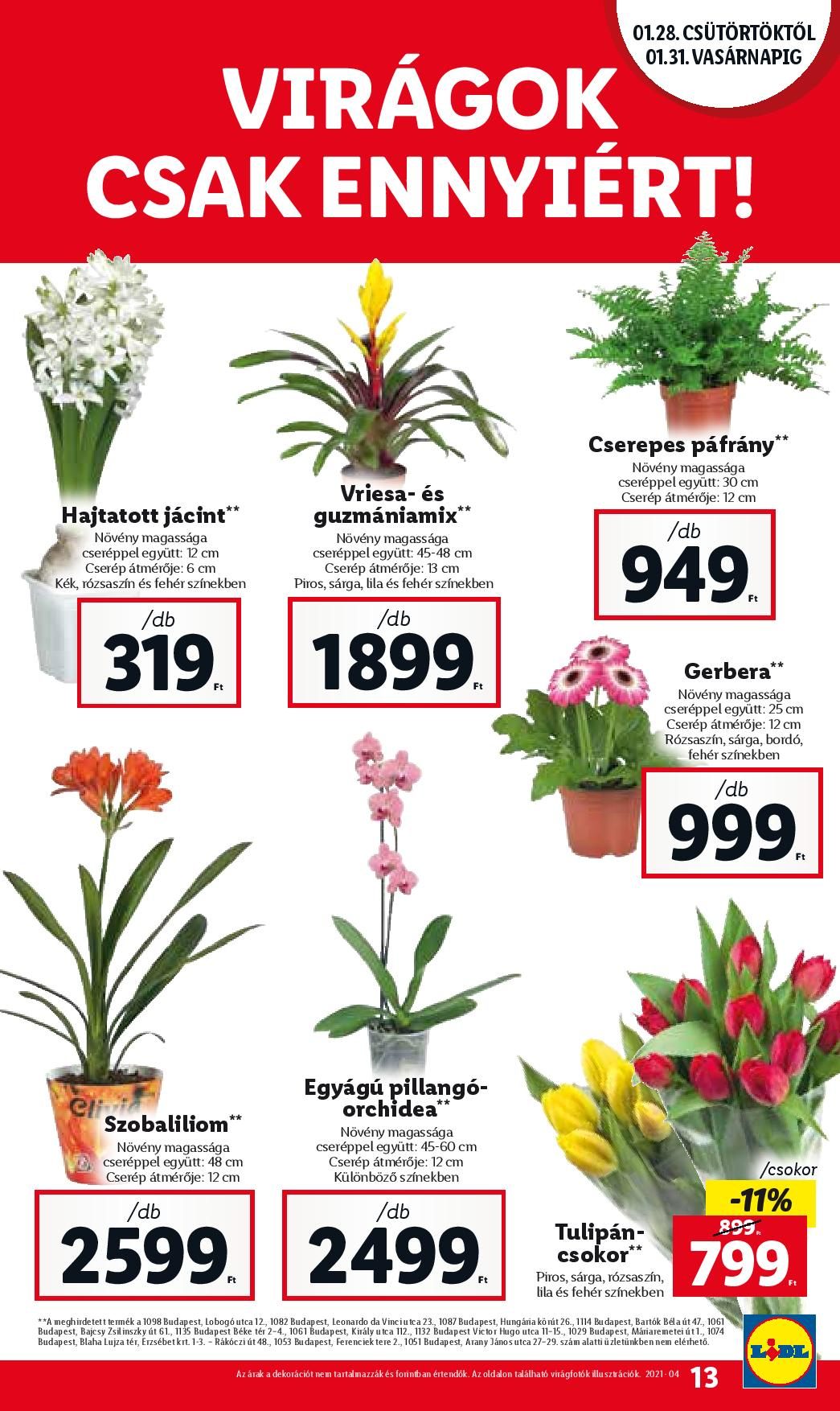 lidl0128-page-013